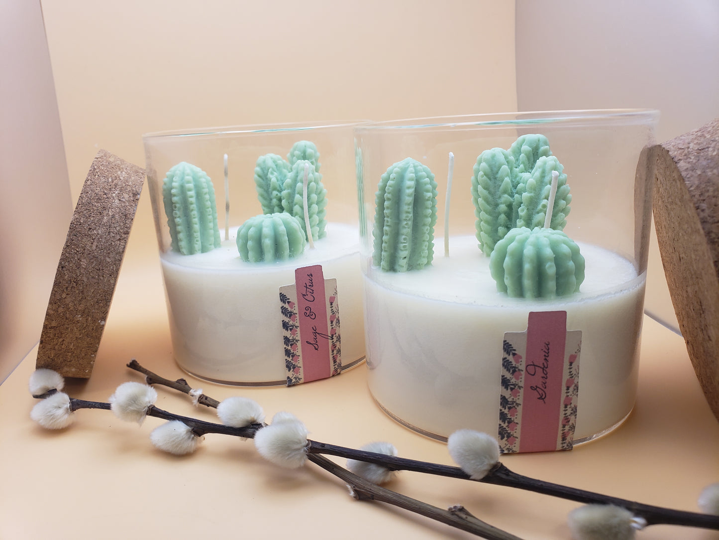 Cactus Terrarium Candle